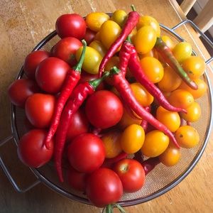 Meet your Posher, Joanne